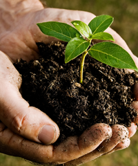 Beginning Farmers and Ranchers